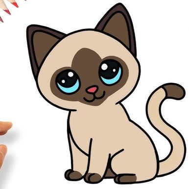 Leo, Gatito Siamés